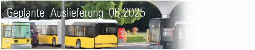 Geplante-Auslieferung-06-2025